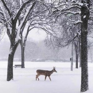 Meet your Posher, Mandeep